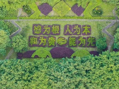 院校风光